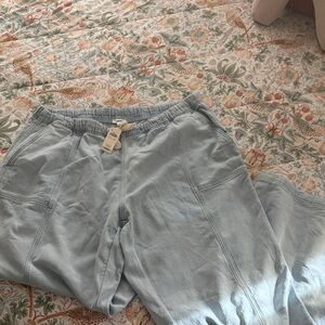 Aerie Light Blue Wide Leg Pants size XL LONG
